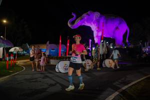 BIB: 
                            <button type="button" onclick="openModal(26552196)" class="btn btn-primary btn-sm float-right btn-popup" data-toggle="modal" data-target=".modal-high-quality">
                        <i class="fas fa-shopping-cart"></i> Add to Cart
                    </button>
                                            <button type="button" onclick="isThisMe(26552196, true)" class="btn btn-success btn-sm float-right btn-popup btn-isme hidden" data-toggle="tooltip" data-placement="bottom" title="นี่คือรูปของคุณใช่ไหม คลิกที่นี่เพื่อเอาเข้าอัลบั้ม">
                        <i class="fas fa-plus"></i> Add to album
                    </button>
                    <button type="button" onclick="isThisMe(26552196, false)" class="btn btn-warning btn-sm float-right btn-popup btn-isnotme hidden">
                        <i class="fas fa-ban"></i> Remove from album
                    </button>